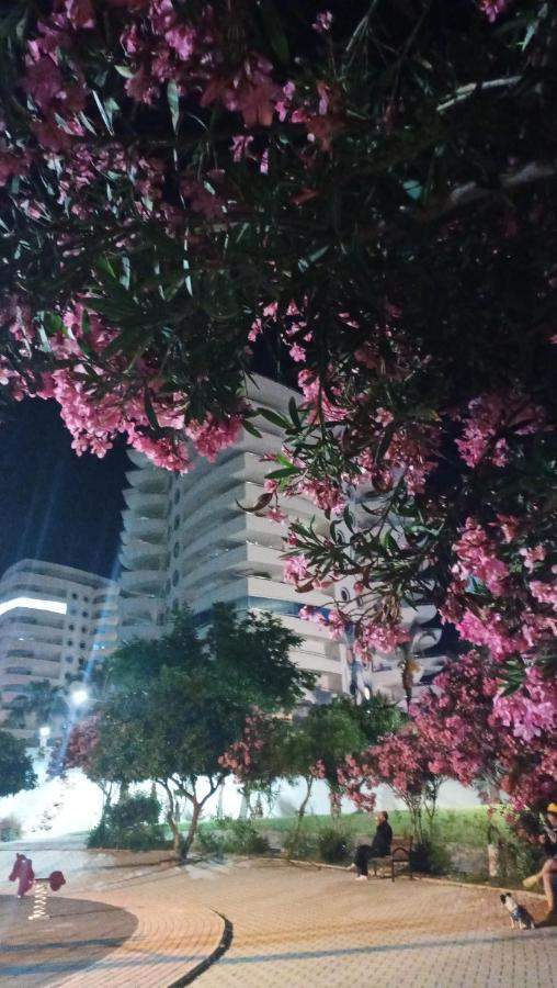 My Marine Lux Sea View Daire Alanya